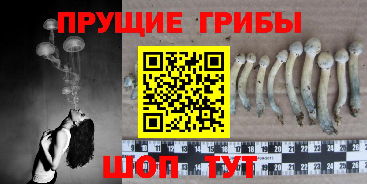 продажа наркотиков  Псилоцибиновые грибы ЛСД  Вход с VPN  Черкесск 